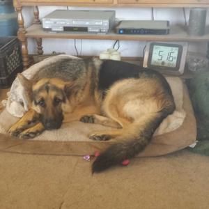 Meet your Posher, Twyla